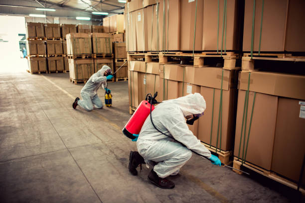 Best Bed Bug Extermination  in Blue Earth, MN