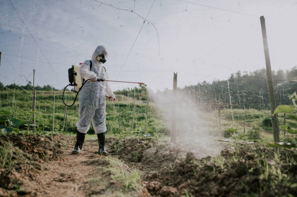 Best Pest Prevention Services  in Blue Earth, MN