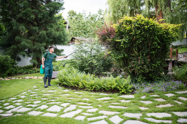 Best Exterminator Services  in Blue Earth, MN
