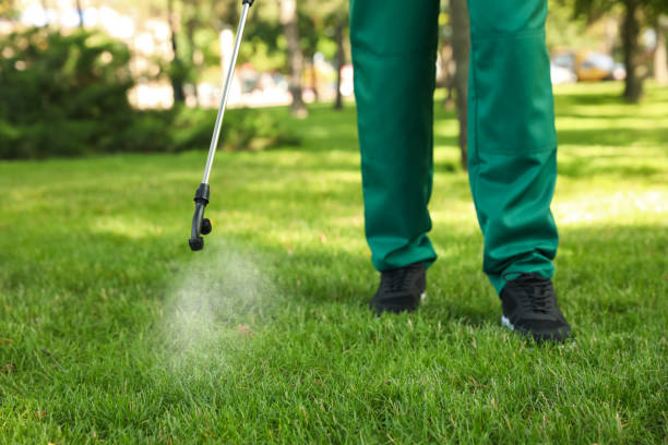 Best Residential Pest Control  in Blue Earth, MN